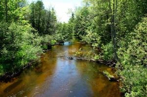 Manistee River
