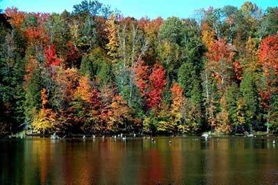 Vacant land for sale in Irons Michigan
