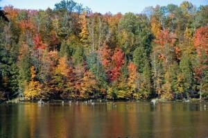 Waterfront view of Wellston Michigan real estate